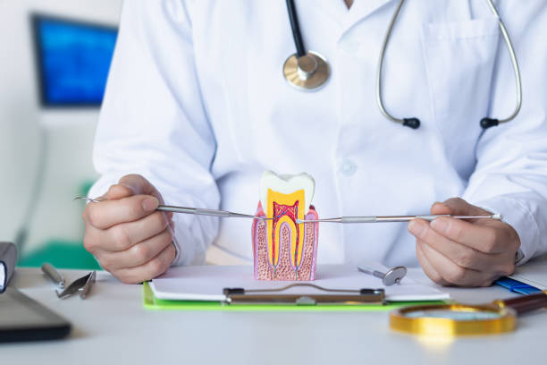 Best Dentist for Tooth Abscess  in Miami, FL